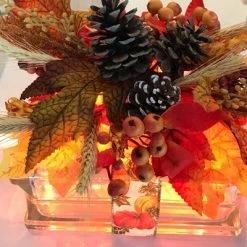 Northlight 50ct Mini String Lights Orange - 10' White Wire 5 Northlight 50ct Mini String Lights Orange - 10' White Wire -Outdoor Christmas Decorations Sales GUEST 06455e1f 4ec7 419e 81f6 55e563a5abd5