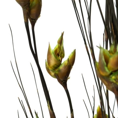 Vickerman 15-20" Natural Bell Grass with Seed Pods, Preserved 5 Vickerman 15-20" Natural Bell Grass with Seed Pods, Preserved - Image 3