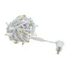 Novelty Lights Inc Novelty Lights 50 Light LED Christmas Mini Light Set (White Wire, 25 Feet)