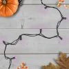 Northlight 50 Count Wide Angle Purple LED Christmas Lights, 16 ft Black Wire -Outdoor Christmas Decorations Sales GUEST 0c734d93 f55b 4641 8be5 ced0da640f1a