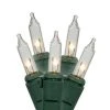 Vickerman Warm White Dura-Lit LED Christmas Mini Light Replacement set. Add some sparkle to your Holidays with this light strand, featuring 100 Warm