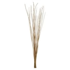 Vickerman 36"-40" Caba Spine Bundle, Dried 24oz -Outdoor Christmas Decorations Sales GUEST 0fa73505 f591 46ec be6e 02d013f25f9b