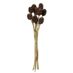 Vickerman Platy Cone with Reed Stem, Dried -Outdoor Christmas Decorations Sales GUEST 18e1f063 5f54 4cea be57 e1f46c006b77