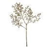 Northlight 24" Gold Metallic Berry Artificial Christmas Spray -Outdoor Christmas Decorations Sales GUEST 29afdb11 13de 4fd4 858f 97951b523c81