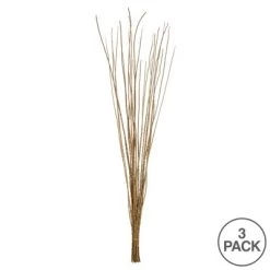 Vickerman 36"-40" Caba Spine Bundle, Dried 24oz -Outdoor Christmas Decorations Sales GUEST 2b02600d 8b53 4cfb 874a 07b045df774b