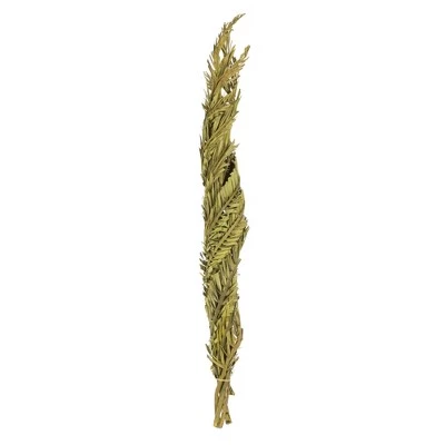 Vickerman 40-48" Twisted Coco Palm Stems, Dried 7 Vickerman 40-48" Twisted Coco Palm Stems, Dried - Image 5