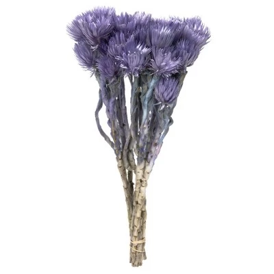 Vickerman 13-14" Natural Everlasting Flowers, Dried 8 Vickerman 13-14" Natural Everlasting Flowers, Dried - Image 6