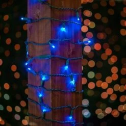 Novelty Lights Inc Novelty Lights LED Christmas String Lights 50 Mini Bulbs (Green Wire, 17 Feet) -Outdoor Christmas Decorations Sales GUEST 3909a47a ff37 47e9 b37b 64a8c6adb0da 1