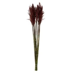 Vickerman 36"-40" Plume Reed Bundle, Preserved 18 Vickerman 36"-40" Plume Reed Bundle, Preserved -Outdoor Christmas Decorations Sales GUEST 3a0fc9f9 0c5e 4ee8 a013 748d7a4924cc 1
