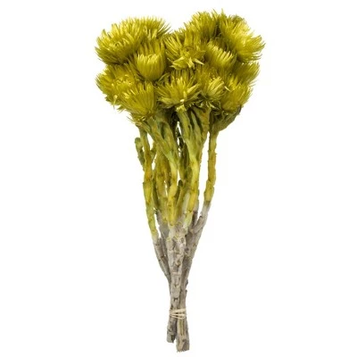 Vickerman 13-14" Natural Everlasting Flowers, Dried 6 Vickerman 13-14" Natural Everlasting Flowers, Dried - Image 4