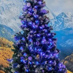 Novelty Lights Inc Novelty Lights C6 LED Christmas String Lights 100 Strawberry Bulbs (Green Wire, 50 Feet) -Outdoor Christmas Decorations Sales GUEST 3fdc473f 5a4e 456f 913d cab7dcbba312