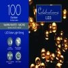 Champ Celebrations Celebrations LED Micro/5mm Clear/Warm White 100 ct String Christmas Lights 16.24 ft.