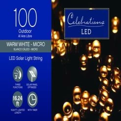 Champ Celebrations Celebrations LED Micro/5mm Clear/Warm White 100 ct String Christmas Lights 16.24 ft.
