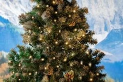 Novelty Lights Inc Novelty Lights 50 Light LED Christmas Mini Light Set (Green Wire, 25 Feet) -Outdoor Christmas Decorations Sales GUEST 48ae729b 6403 4296 b0d2 3637dc6ab5b5