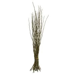 Vickerman 34-40" Moneta Branches, Dried 8oz -Outdoor Christmas Decorations Sales GUEST 48dd1271 caaa 4957 9010 9d6c650d42ab