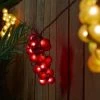 Northlight 5-Count Red and Green Grape Cluster String Light Set, 8ft Brown Wire