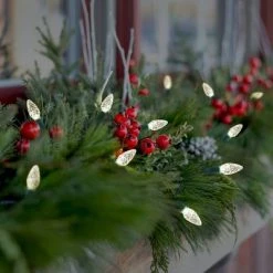 Philips 50ct LED Solar Faceted C6 String Lights Warm White with Green Wire