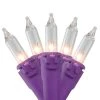 Brite Star 50ct Mini Christmas Lights Clear - 19' Purple Wire 2 Brite Star 50ct Mini Christmas Lights Clear - 19' Purple Wire -Outdoor Christmas Decorations Sales GUEST 51b9af8c b979 4a6d 99a3 9e7e17c37f5a