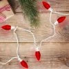 Northlight 25 Count Red LED C9 Christmas Lights, 16 ft White Wire -Outdoor Christmas Decorations Sales GUEST 51fcdc11 fb0c 4087 bee2 4eff2ad6eaf6