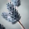 Sullivans Artificial Blue Pinecone Stem Blue 26"H -Outdoor Christmas Decorations Sales GUEST 555624e1 e38e 438f 96b6 d94ecf1dc896