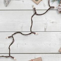 Northlight 50ct Mini Christmas Lights Clear - 10' Brown Wire