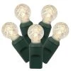 Vickerman Berry LED Single Mold Christmas Light Set