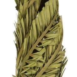 Vickerman 40-48" Twisted Coco Palm Stems, Dried 10 Vickerman 40-48" Twisted Coco Palm Stems, Dried -Outdoor Christmas Decorations Sales GUEST 5f5ad57d 5cda 49a7 b2bb cf123b98b77e