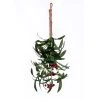 Vickerman Red Berry and Mistletoe Collection
