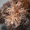 Sullivans Artificial Faux-Dried Thistle Stem Multicolor 40"H Set of 2 -Outdoor Christmas Decorations Sales GUEST 75bb90a7 e876 46cf b59c 024111025132