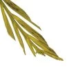 Vickerman Natural Stem, Dried 2 Vickerman Natural Stem, Dried -Outdoor Christmas Decorations Sales GUEST 75bd13fe a229 4b90 8f17 27de3579bd4e