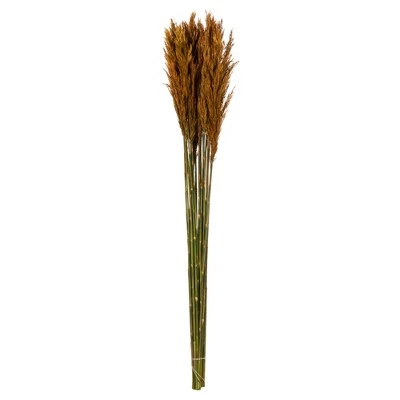 Vickerman 36"-40" Plume Reed Bundle, Preserved 9 Vickerman 36"-40" Plume Reed Bundle, Preserved - Image 7
