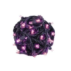 Novelty Lights Inc Novelty Lights 50 Light LED Christmas Mini Light Set (Black Wire, 25 Feet) -Outdoor Christmas Decorations Sales GUEST 7df7b3b5 1d7e 4271 a471 ec7469780c0a