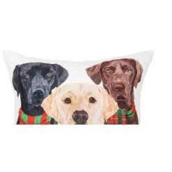C&F Home Lab Scarves Trio Indoor and Outdoor Throw Pillow