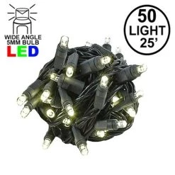 Novelty Lights Inc Novelty Lights 50 Light LED Christmas Mini Light Set (Black Wire, 25 Feet) -Outdoor Christmas Decorations Sales GUEST 854d39f1 5677 4415 b0cc ba6883c0bea4
