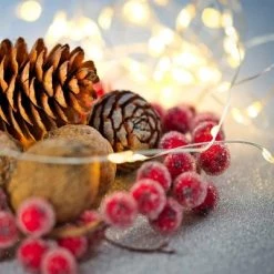 Northlight 100ct LED Micro Fairy Lights Warm White - 16.25' Copper Wire -Outdoor Christmas Decorations Sales GUEST 85858bc7 1c81 4495 a76e 403d8c5a09dd