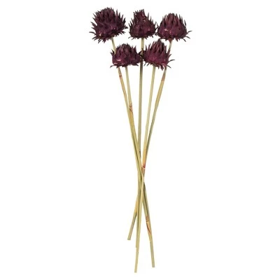 Vickerman 15" Artichoke Head with Reed Stem, Dried 9 Vickerman 15" Artichoke Head with Reed Stem, Dried - Image 7