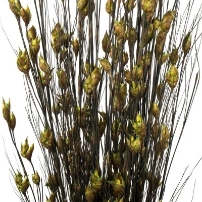 Vickerman 15-20" Natural Bell Grass with Seed Pods, Preserved 4 Vickerman 15-20" Natural Bell Grass with Seed Pods, Preserved - Image 2