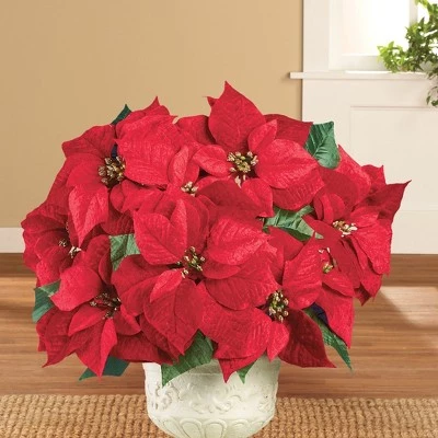 Collections Etc. Collections Etc Bright Red Decorative Velvet Poinsettia Bushes - Set of 3 10 X 10 X 17 4 Collections Etc. Collections Etc Bright Red Decorative Velvet Poinsettia Bushes - Set of 3 10 X 10 X 17 - Image 2