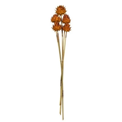 Vickerman 15" Artichoke Head with Reed Stem, Dried 12 Vickerman 15" Artichoke Head with Reed Stem, Dried - Image 10