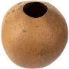 Vickerman 6-7" x 6-8" Bacacuia Gourd, Dried -Outdoor Christmas Decorations Sales GUEST 8976d9a6 c00c 4413 acac f7663529afe3 1
