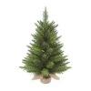 Transpac Artificial 24 in. Green Christmas Spruce Tree in Bag 1 Transpac Artificial 24 in. Green Christmas Spruce Tree in Bag -Outdoor Christmas Decorations Sales GUEST 8f46fa82 b9ba 459f 8a5f 607dba46571d