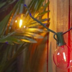 Northlight 10ct Multi Color LED G50 Globe Patio Lights, 10ft Green Wire -Outdoor Christmas Decorations Sales GUEST 9446f635 f359 4766 b96f aed06a6be466