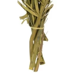 Vickerman 40-48" Twisted Coco Palm Stems, Dried 11 Vickerman 40-48" Twisted Coco Palm Stems, Dried -Outdoor Christmas Decorations Sales GUEST 952375e5 b8da 4f9f a3dc f74d0b371afb