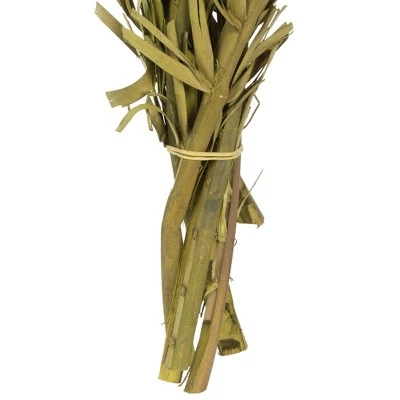 Vickerman 40-48" Twisted Coco Palm Stems, Dried 6 Vickerman 40-48" Twisted Coco Palm Stems, Dried - Image 4