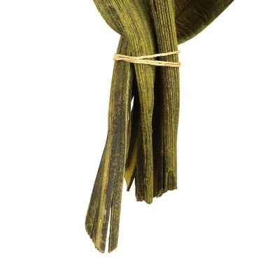 Vickerman Coco Paddle, Dried 6 Pack 5 Vickerman Coco Paddle, Dried 6 Pack - Image 3