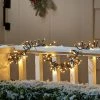 448ct LED Christmas Mini String Lights Garland Warm White Black Wire - Wondershop™ -Outdoor Christmas Decorations Sales GUEST 9a394078 cf85 479b aa68 8f821ed17594