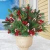 Collections Etc. Collections Etc 3-Piece Festive Candy Cane and Frosted Pine Bushes Set 9 X 9 X 17.5 -Outdoor Christmas Decorations Sales GUEST 9bd53990 7519 4cee 8b65 9c2d436464a4