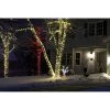 32-Inch Pre-Lit Candy Cane Lane Penguin Christmas Yard Decoration, 35 Lights -Outdoor Christmas Decorations Sales GUEST a21bd53b a8fd 435c ad97 3db313b0af3a