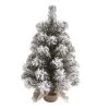 Transpac Artificial 18 in. Multicolor Christmas Snow Colorado Tree with Bagged Stand -Outdoor Christmas Decorations Sales GUEST a38084e0 2e20 4046 abce 4f3a67c39d93