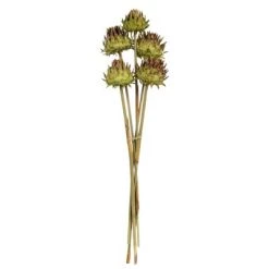 Vickerman 15" Artichoke Head with Reed Stem, Dried 16 Vickerman 15" Artichoke Head with Reed Stem, Dried -Outdoor Christmas Decorations Sales GUEST a6b90296 08d0 47aa 9dd8 12fe287490f8 1